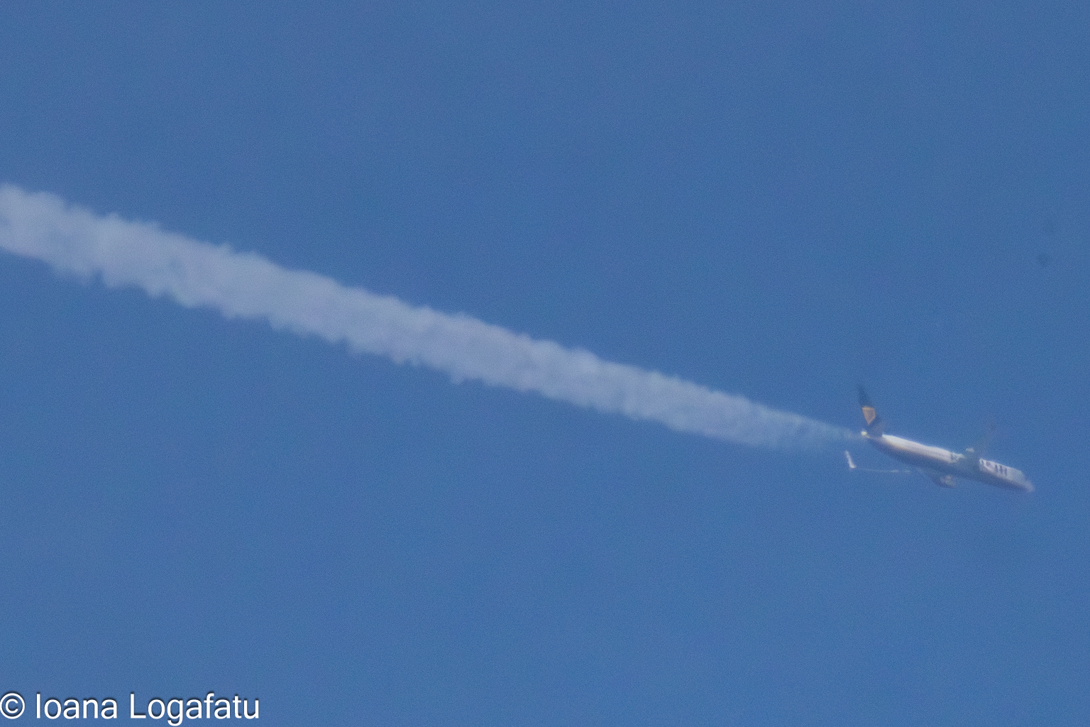 Jet soaring high above the azure sky